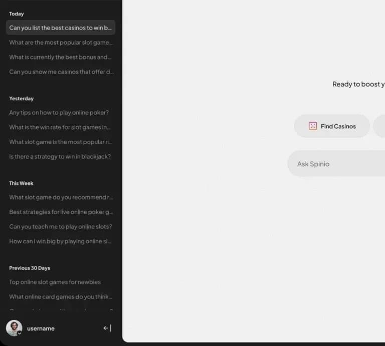 Spinio conversation sidebar with recent and earlier chats